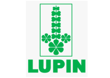 Lupin